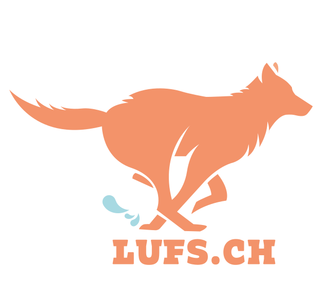 LUFS.CH